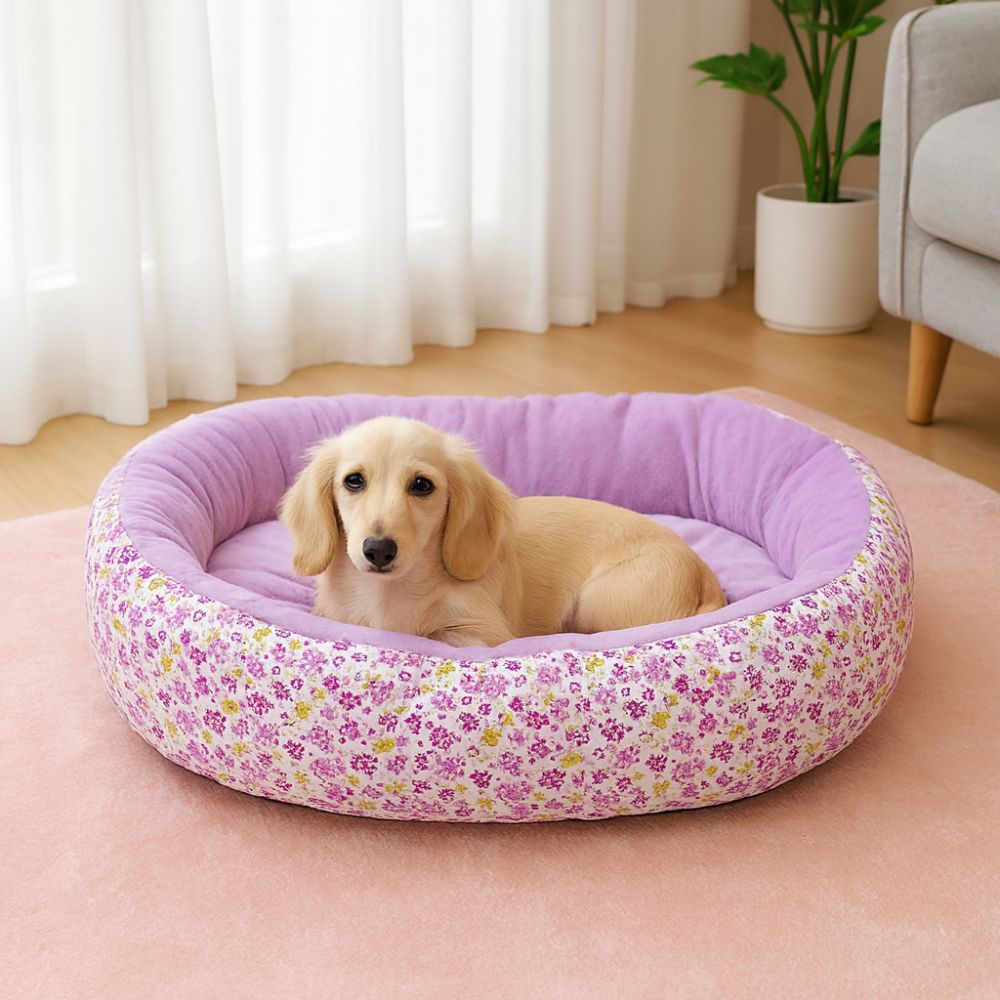 Un toutou aux yeux tristes, confortablement installé dans un panier chien lavable violet