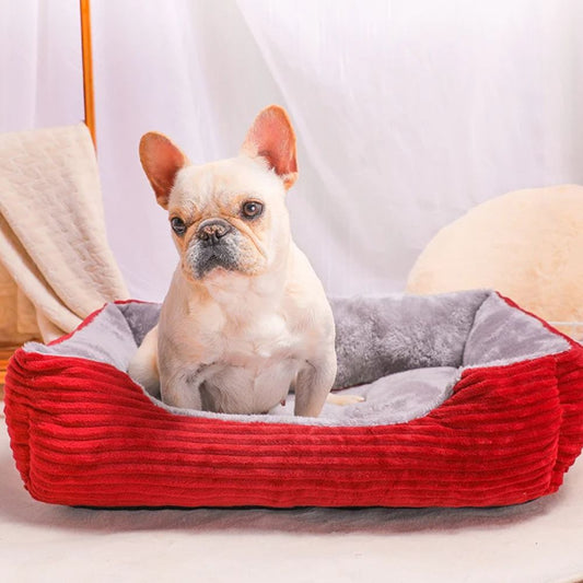 Bouledogue assis dans un panier chien rouge, confort assuré