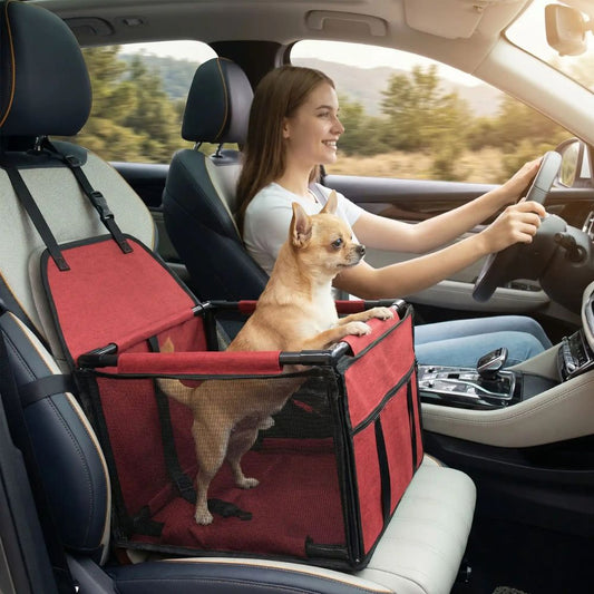 En voyage, un chihuahua pose ses pattes sur le bord d’un panier chien voiture et observe calmement la route