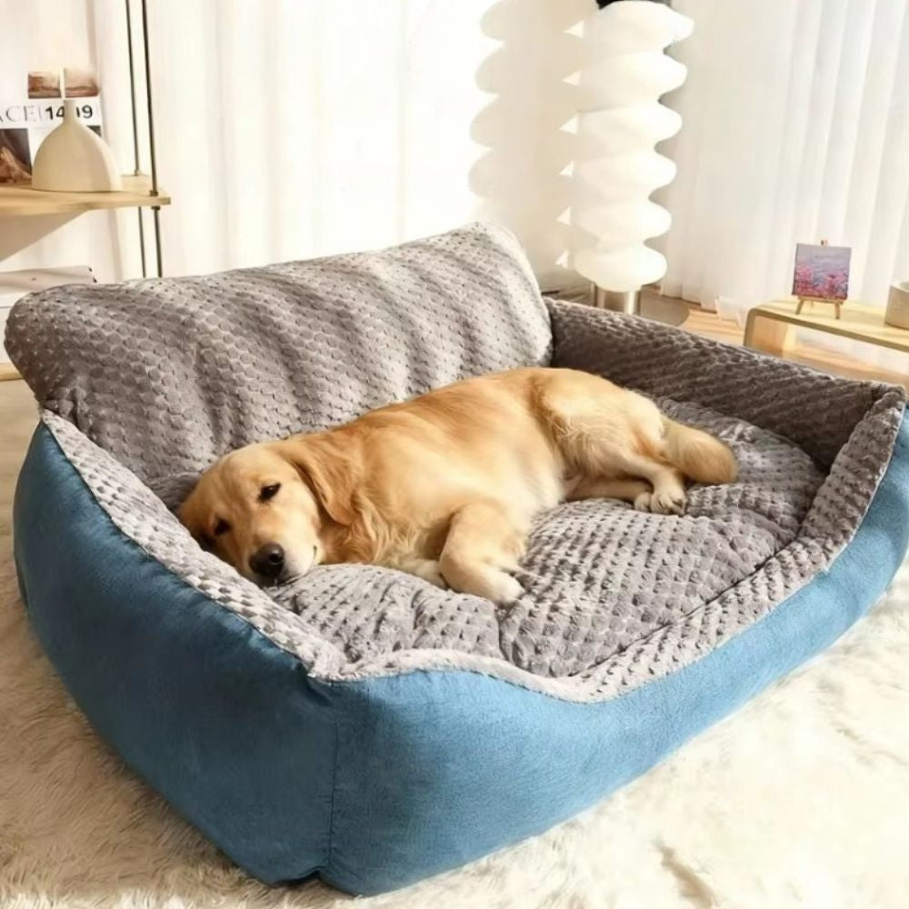 Golden endormi dans un panier grand chien apaisant, espace doux et rassurant pour un sommeil paisible