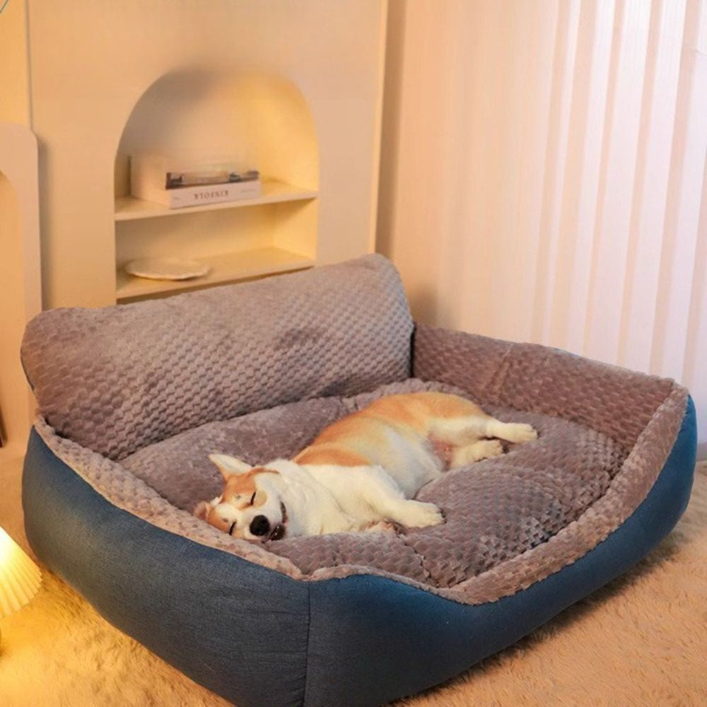 Corgi dort paisiblement dans un panier grand chien doux et confortable, ambiance calme et repos du soir