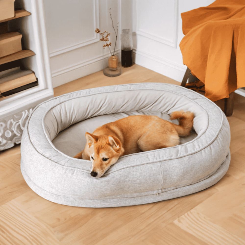 Panier orthopédique chien gris, style moderne et soutien du dos pour sieste relaxante de shiba inu