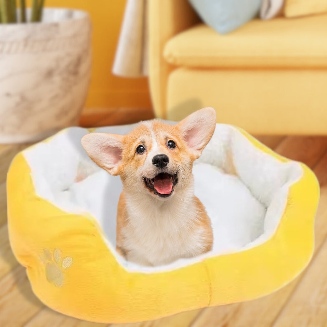 panier-pour-chien-douceur-puppy-paradis