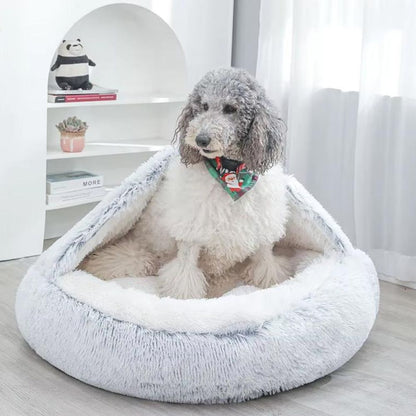Caniche assis dans un panier pour chien façon grotte, refuge rassurant