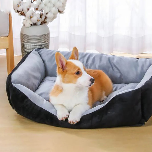 Corgi se détend en posant ses pattes sur le bord d'un panier pour chien