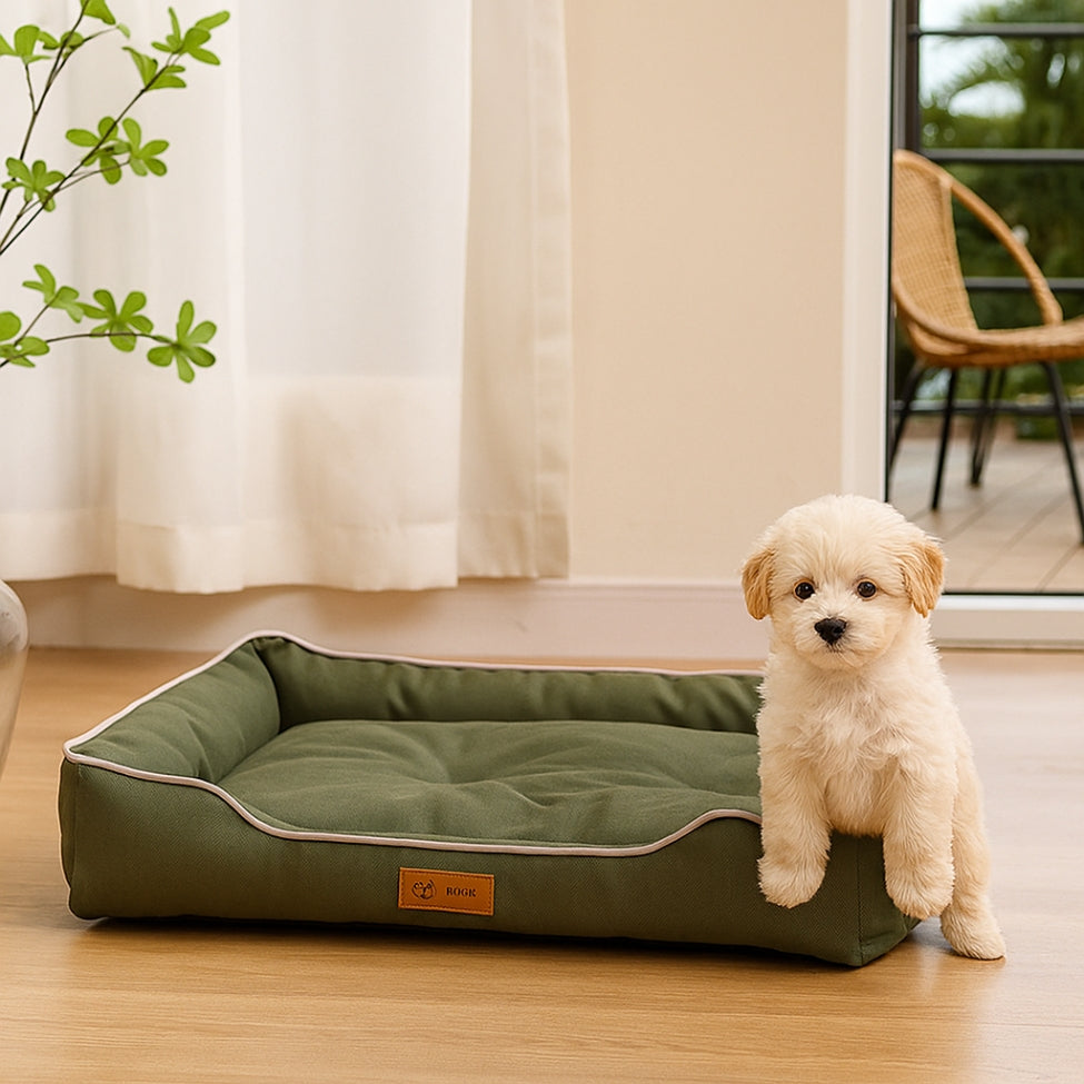 un petit chiot anxieux, s'appuie sur le coin du lit pour chien