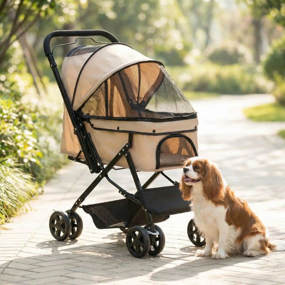 Cavalier King Charles à côté d’une poussette chien beige lors d’une promenade au parc