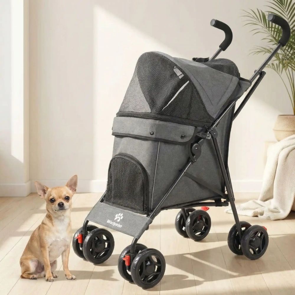 Poussette pour chien robuste dans un salon avec un petit chihuahua à proximité