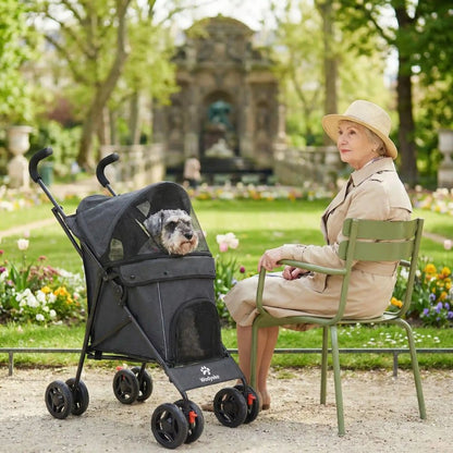 Dame âgée assise au Jardin du Luxembourg avec un schnauzer confortablement installé dans une poussette pour chien