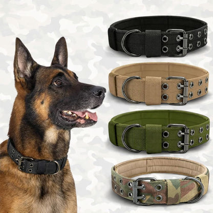 Collier gros chien en nylon disponible en quatre couleurs : vert, noir, kaki et camouflage