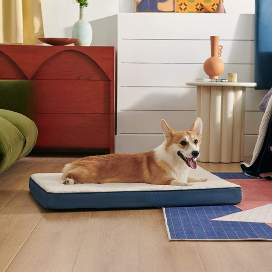 Corgi profitant d’un repos apaisant sur un coussin chien moelleux et pratique à nettoyer