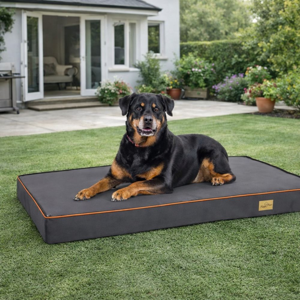 Rottweiler reposant sur un tapis chien XXL robuste et résistant, utilisé en extérieur dans le jardin