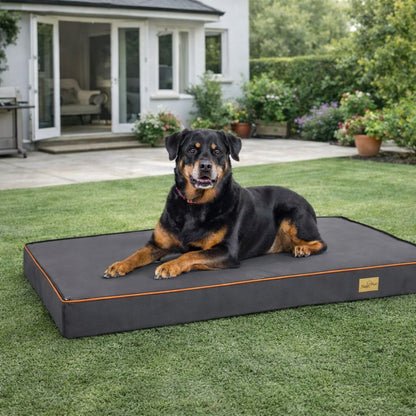 Rottweiler reposant sur un tapis chien XXL robuste et résistant, utilisé en extérieur dans le jardin