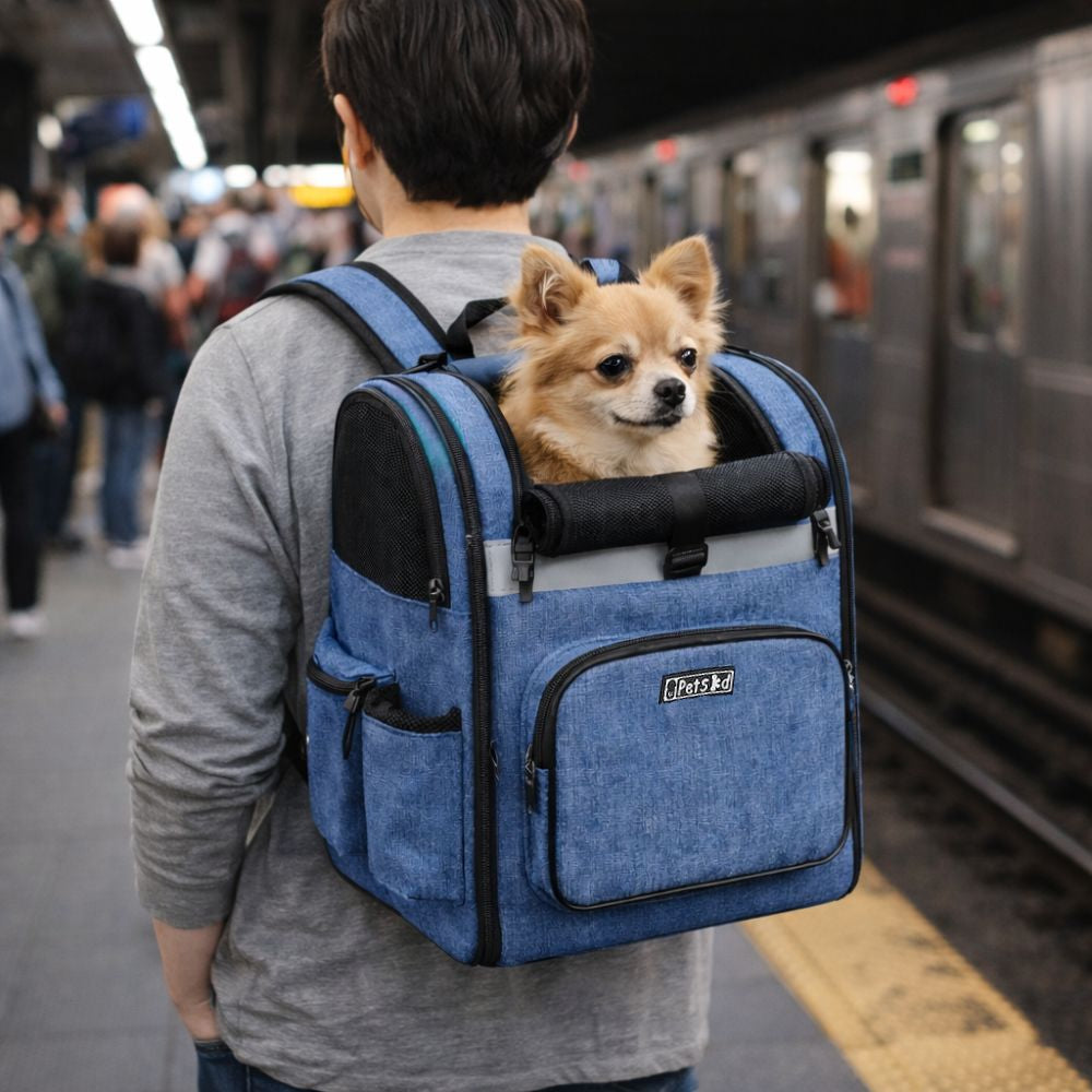 sac à dos pour chien dans le métro avec ouverture permettant au chien de respirer