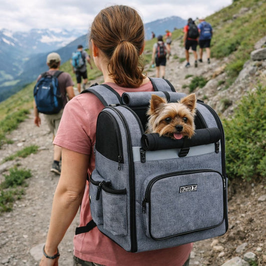 petit chien transporté confortablement dans un sac à dos pour chien lors d’une randonnée