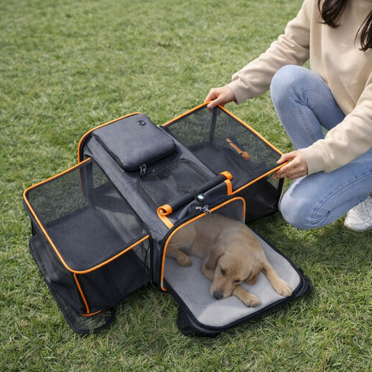 sac de transport pour chien extensible ouvert dans un parc pour offrir plus d’espace au chien