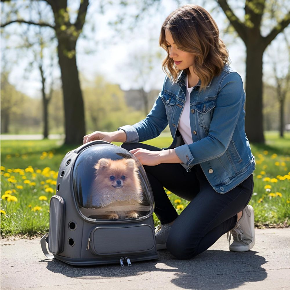 Sac transport chien moto avec petit chien dans sac à dos bulle transparente utilisé lors d'une balade au parc