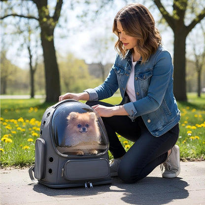 Sac transport chien moto avec petit chien dans sac à dos bulle transparente utilisé lors d'une balade au parc