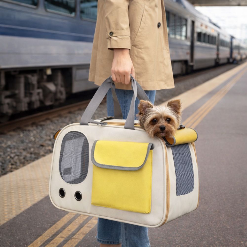 Yorkshire placé dans un sac transport pour chien sur le quai d’une gare à trains