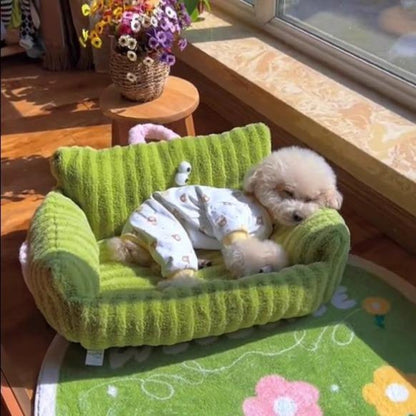 Toutou reposant dans un salon fleuri, installé sur un canapé chien apaisant