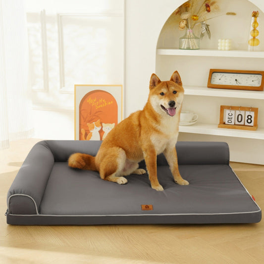Shiba assis sur couchage chien gris dans un salon ensoleillé