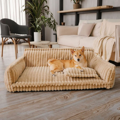 Shiba confortablement installé sur un canapé chien beige apaisant et élégant