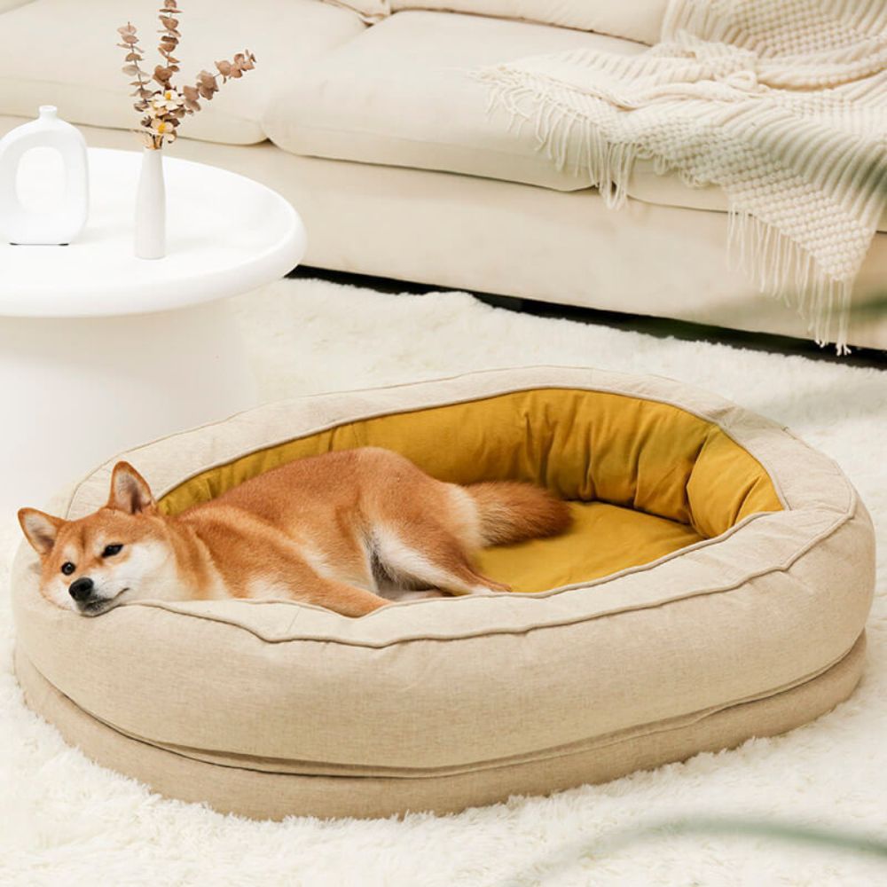 Panier orthopédique chien beige, joli shiba détendu dans son couchage douillet
