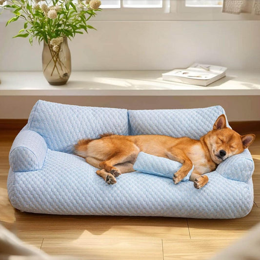 Shiba dormant profondément sur un canapé chien Oslo moelleux et confortable