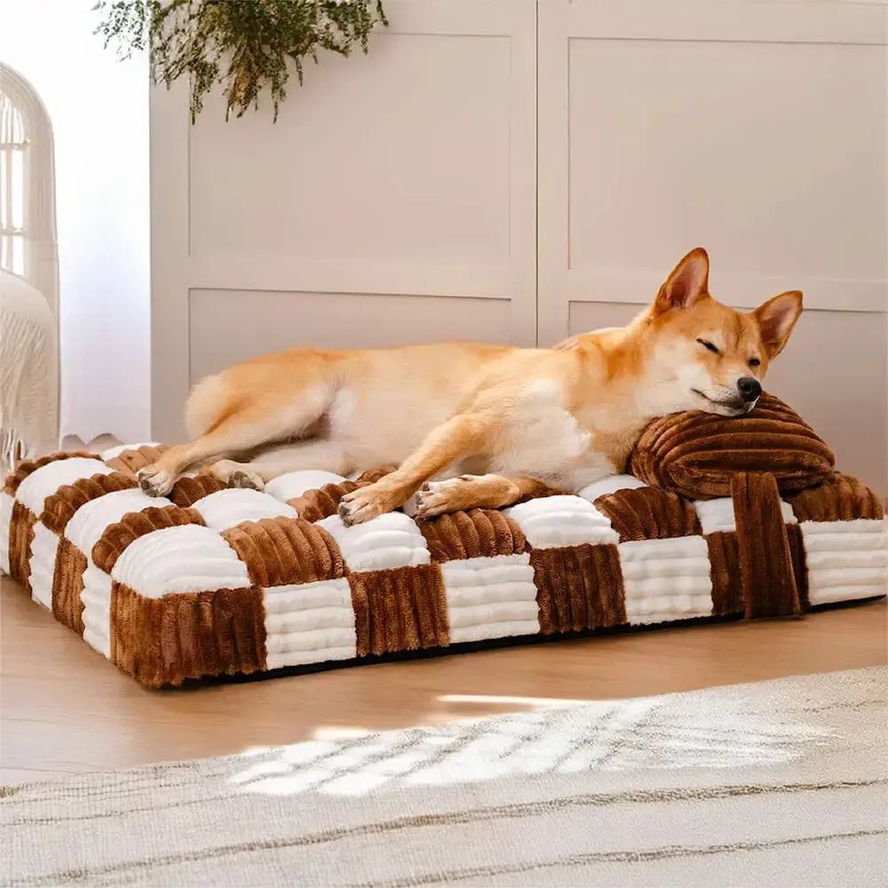 Shiba endormi sur un tapis chien indestructible épais, offrant un soutien orthopédique stable