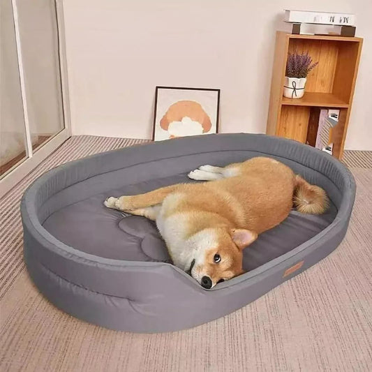 Shiba s’étire dans un panier chien XXL, bien-être total