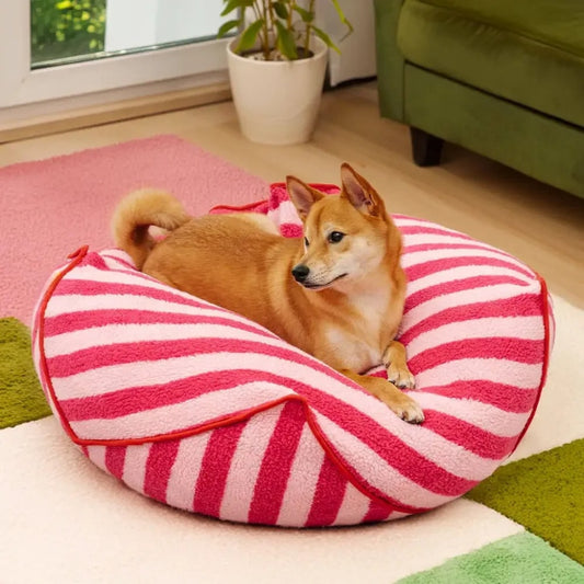 shiba-inu-repos-sur-coussin-pour-chien-dehoussable 