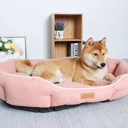 Shiba paisible dans un panier à chien rose, bien-être quotidien