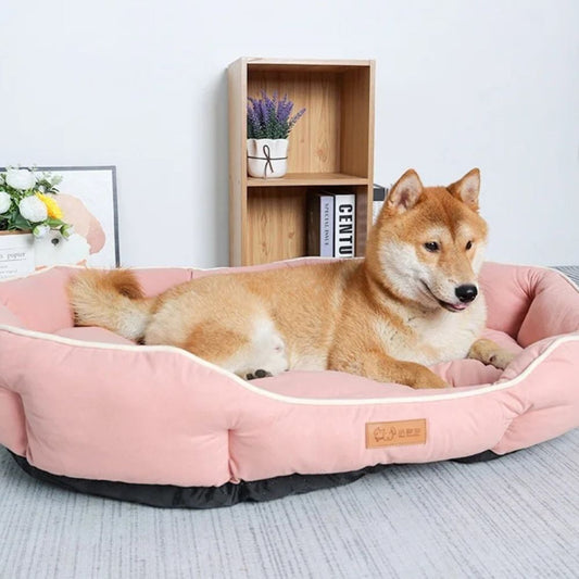 Shiba paisible dans un panier à chien rose, bien-être quotidien