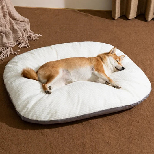Shiba couché sur le côté profitant de la chaleur réconfortante de ses coussins pour chien