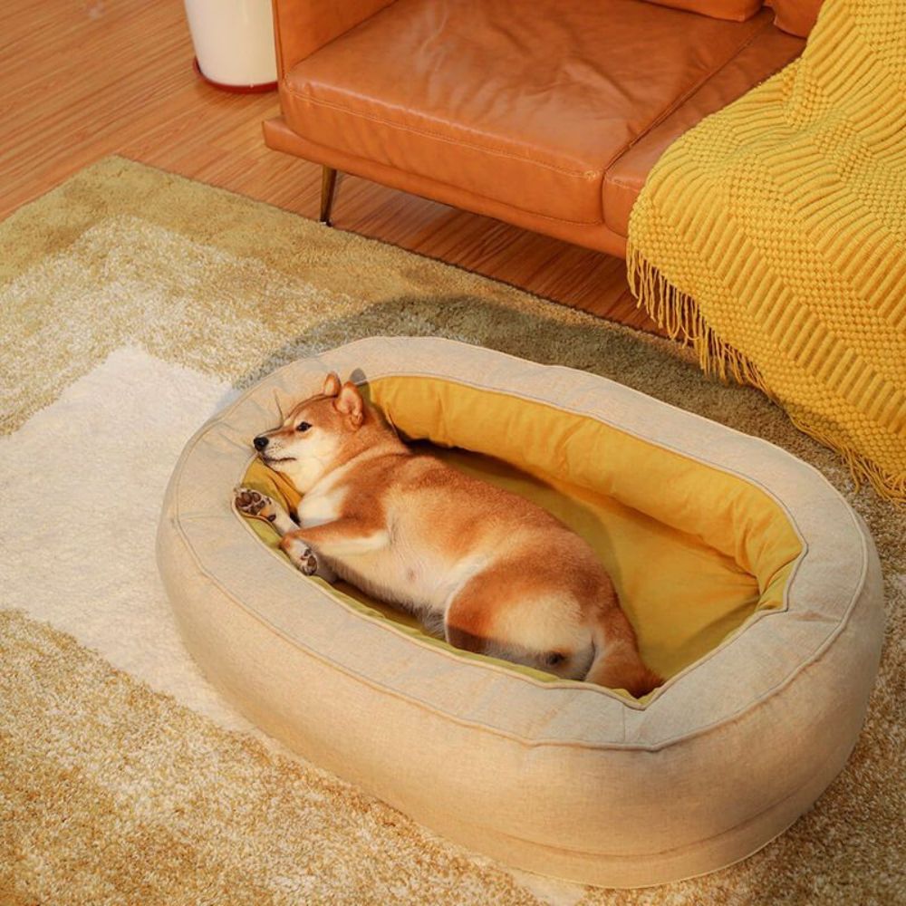 Panier orthopédique chien xl, idéal pour la sieste de shiba, vue du haut