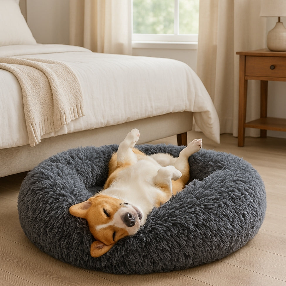 sommeil-profond-de-toutou-dans-coussin-pour-chien