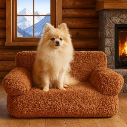 Petit spitz assis sur un canapé chien caramel, ambiance hivernale chaleureuse