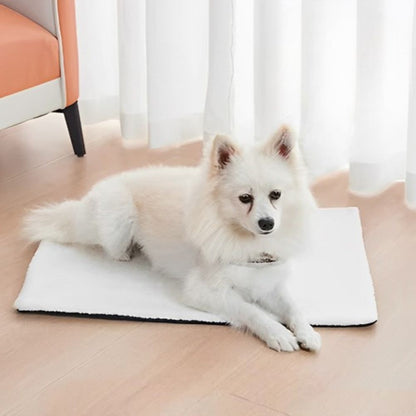 Spitz reposant confortablement sur un tapis pour chien blanc