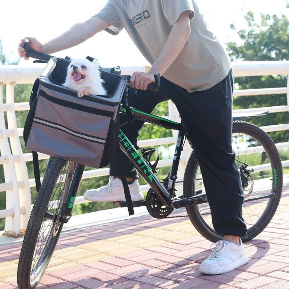spitz blanc installé dans un panier chien velo fixé au guidon avec système stable et sécurisé idéal pour petit chien