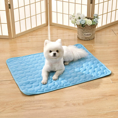 Spitz installé sur un tapis rafraichissant pour chien bleu, style moderne