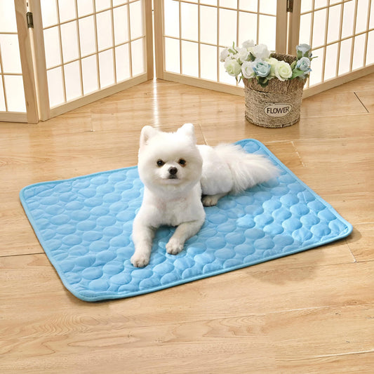 Spitz installé sur un tapis rafraichissant pour chien bleu, style moderne