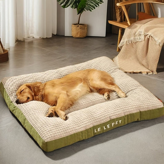 Golden retriever dort sur un coussin chien XXL avec surface généreuse