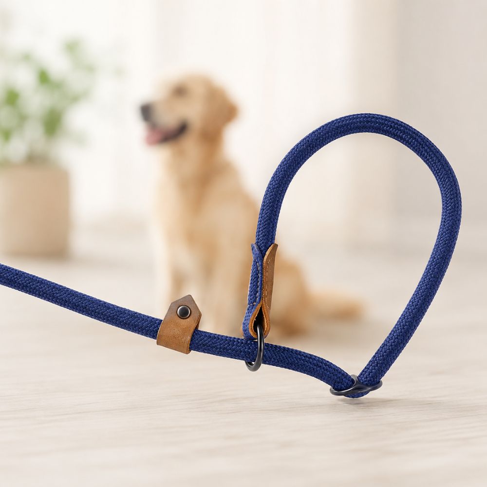 détail du système coulissant d’une laisse lasso pour chien bleue avec golden retriever flou en arrière-plan