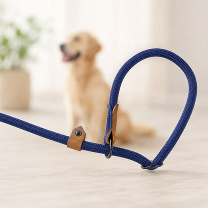 détail du système coulissant d’une laisse lasso pour chien bleue avec golden retriever flou en arrière-plan