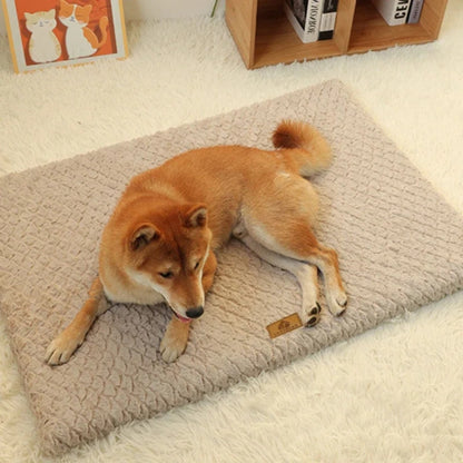 Shiba confortablement installé sur un tapis chien au sol