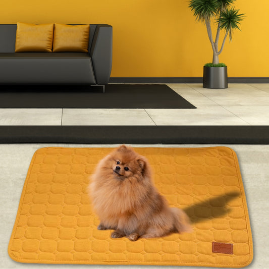 tapis-chien-couleur-orange-dogistyle
