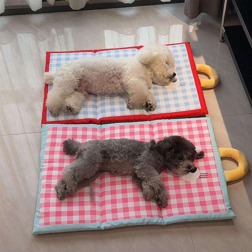 Tapis chien imperméable rose et bleu offrant un couchage confortable et pratique pour le repos quotidien