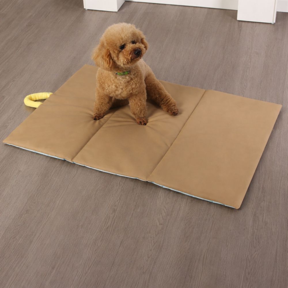 Caniche assis sur un tapis chien imperméable résistant, idéal pour un usage quotidien à la maison