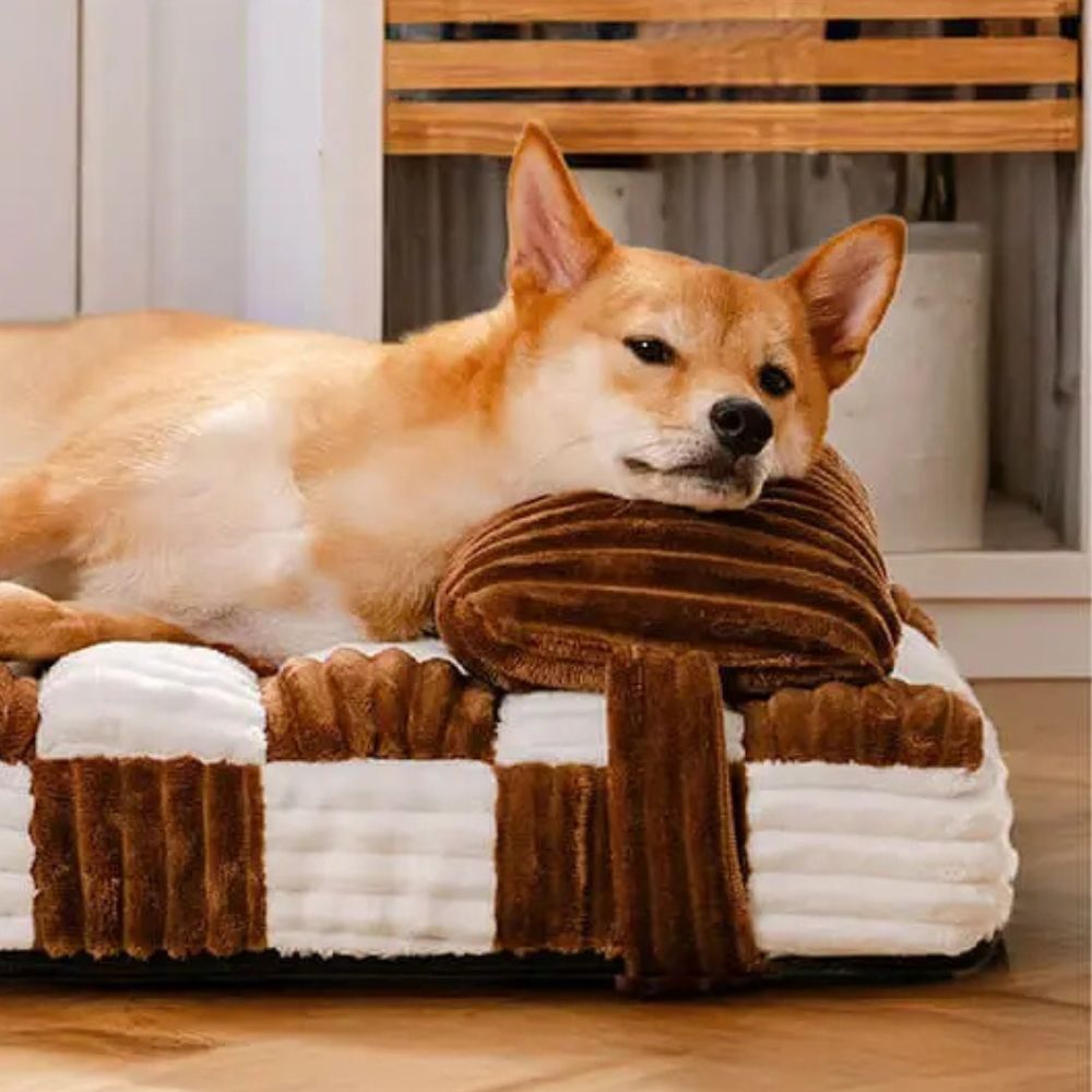 Shiba posant la tête sur un tapis chien indestructible avec oreiller amovible, doux et confortable
