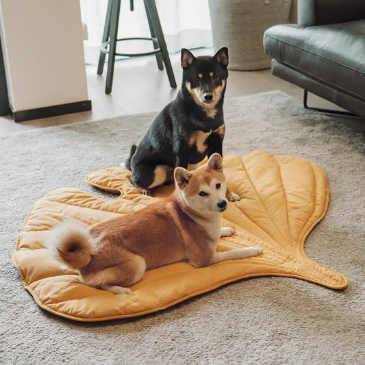 tapis-chien-jaune-folia